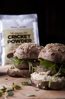 1608615810227969.jpg 1608615810227969.jpg