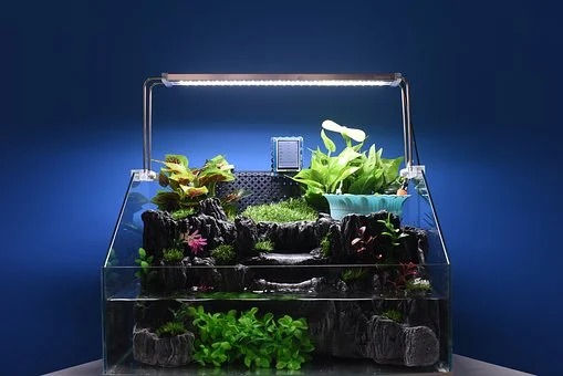 1608621948172810.jpg 1608621948172810.jpg