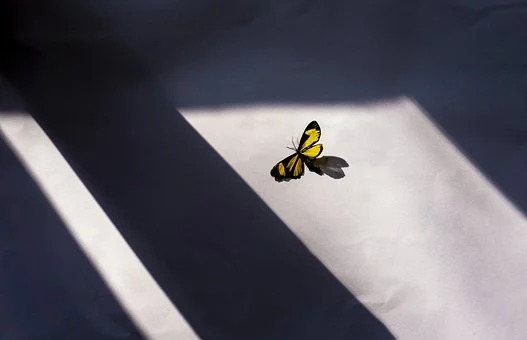 1606361031755022.jpg