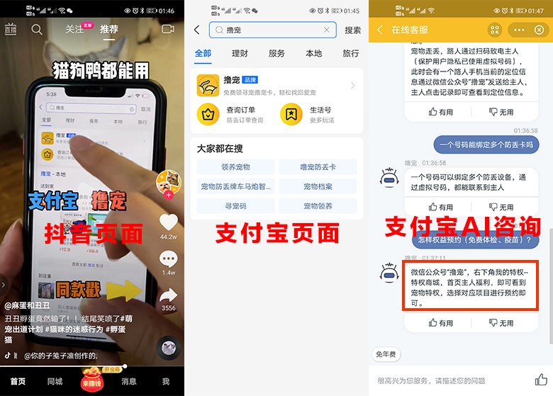 鸟哥笔记,用户运营,想当一条咸鱼的运营,拉新,用户增长