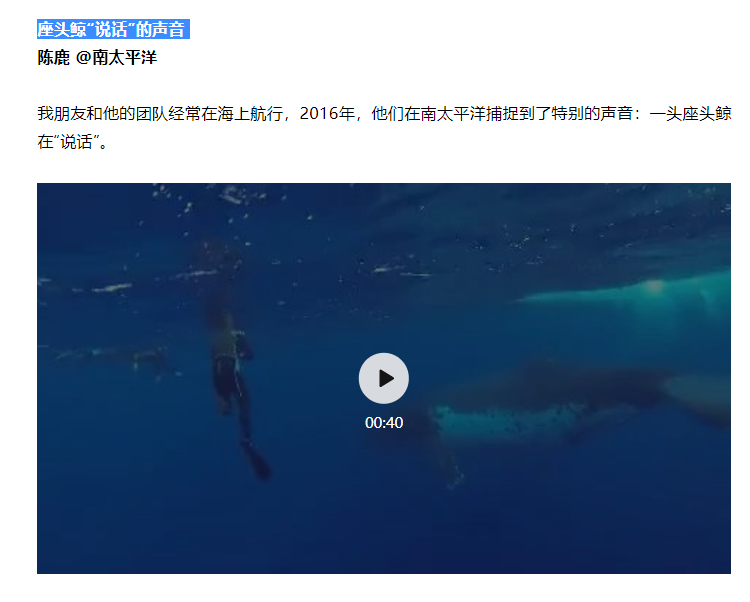 鸟哥笔记,新媒体运营,塔兰特,内容营销,内容运营,IP,新媒体运营,新媒体运营