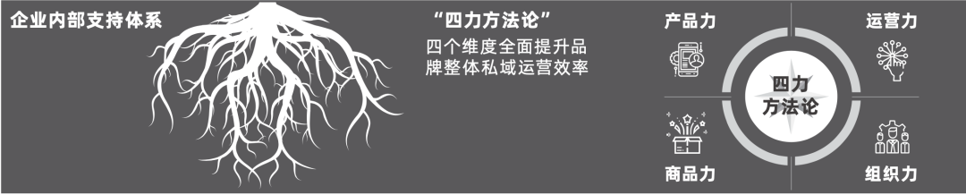 鸟哥笔记,用户运营,见实,用户增长,用户运营