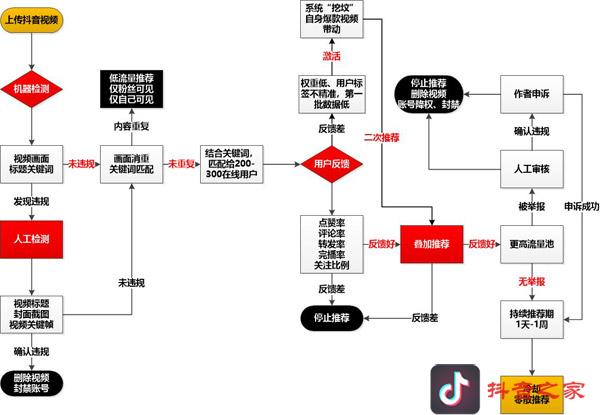 关于抖音的算法及机制，有多少可信度？