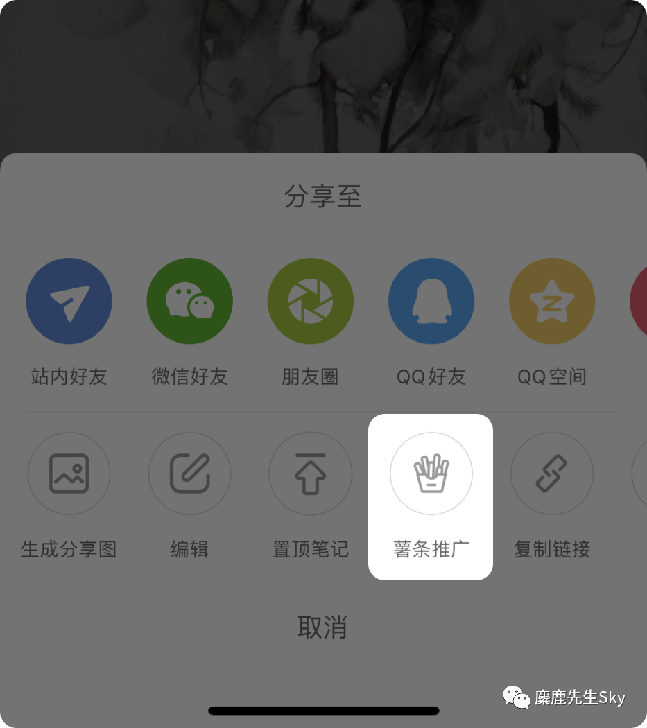 鸟哥笔记,新媒体运营,麋鹿先生Sky,小红书,推广,涨粉,内容运营