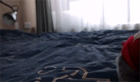 鸟哥笔记,数据运营,一个数据人的自留地,用户研究,产品分析,产品运营,用户研究,数据分析