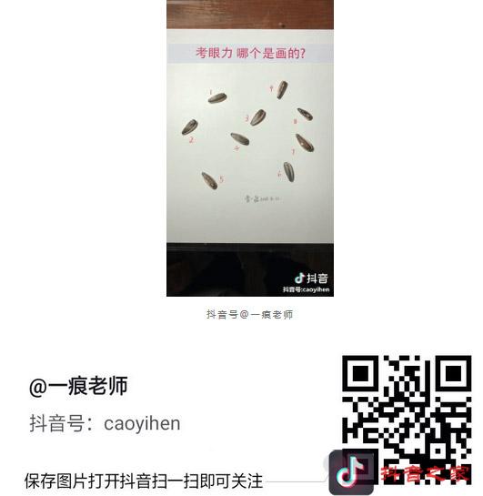 抖音可以学画画的10个ID号