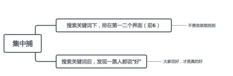 鸟哥笔记,新媒体运营,赵子辰Vic,内容生态,小红书 鸟哥笔记,新媒体运营,赵子辰Vic,内容生态,小红书