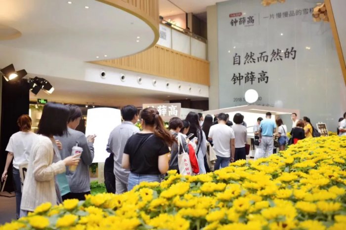鸟哥笔记,用户运营,见实,私域流量,增长策略,增长,获客,品牌,营销,产品,品牌,用户增长,用户运营