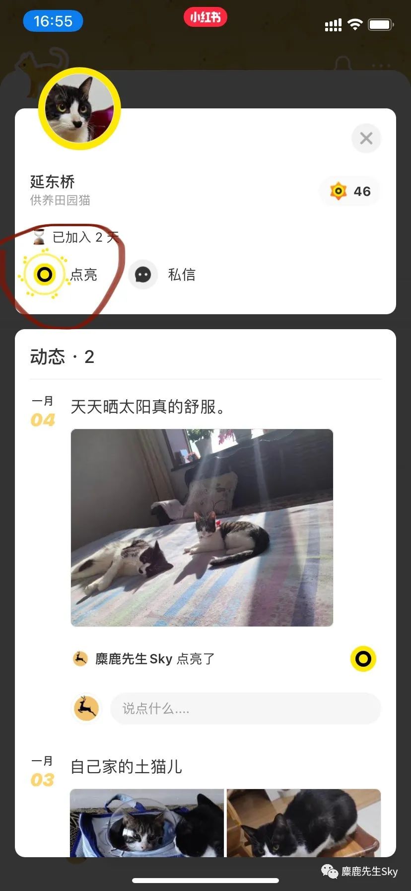 鸟哥笔记,新媒体运营,麋鹿先生Sky,小红书,UGC,新媒体营销