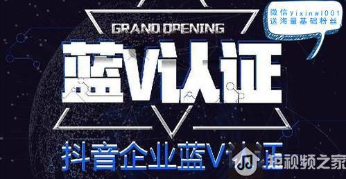 个体工商户抖音蓝V认证全流程