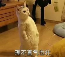 鸟哥笔记,活动运营,炏的黑匣子,总结,案例分析,活动案例,活动 鸟哥笔记,活动运营,炏的黑匣子,总结,案例分析,活动案例,活动