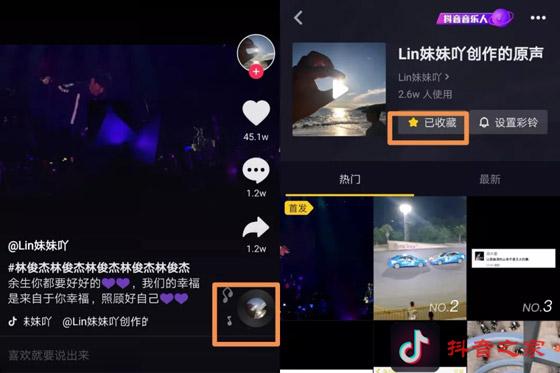 抖音最火的BGM有哪些