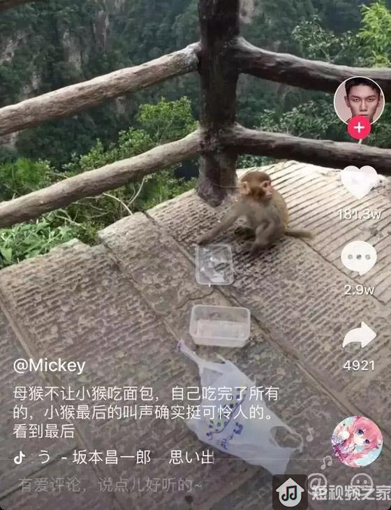 抖音怎样的视频才能火？【最新案例揭秘】