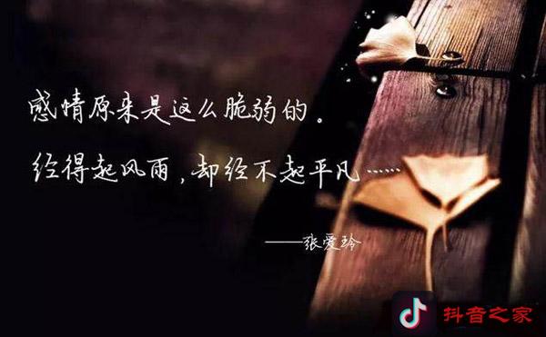 抖音经典情感语录2019，字字拨动心弦