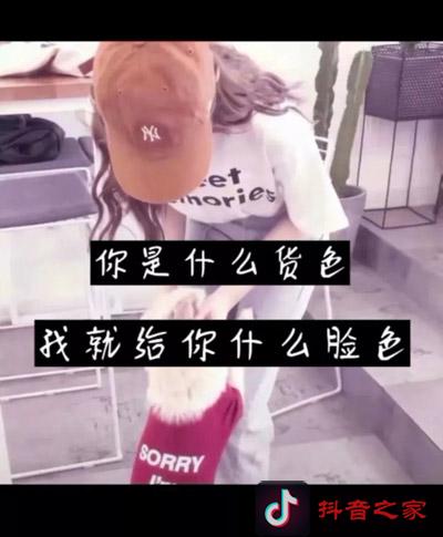 抖音最火的霸气句子语录