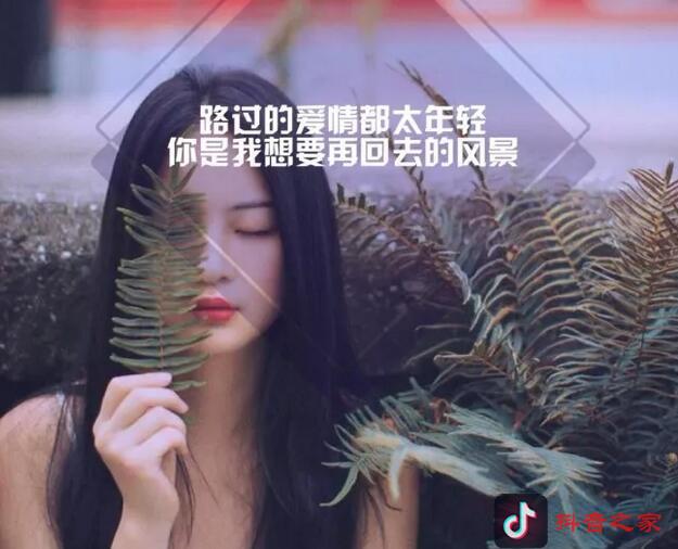 盘点抖音最火最伤感的句子