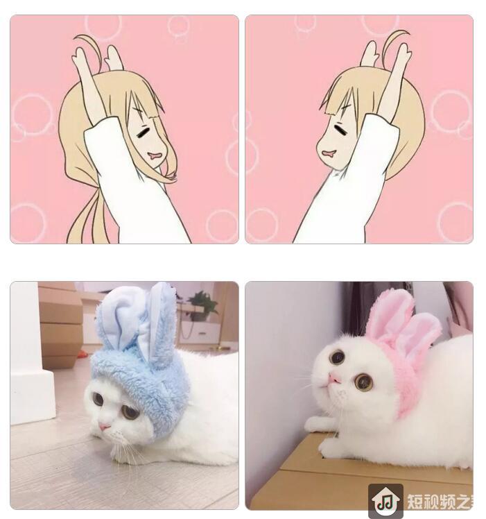 抖音热门情侣头像