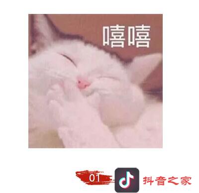 抖音官方最新公布爆款心法：一个模型+五组案例 