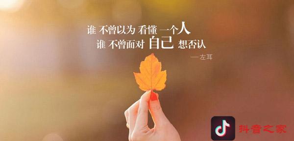 抖音经典情感语录2019，字字拨动心弦