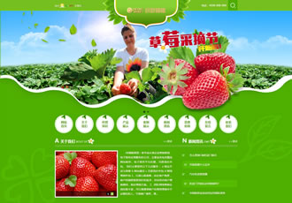 绿色水果蔬菜网站源码 农业园林织梦模板（带手