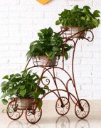 美术型粉末涂料