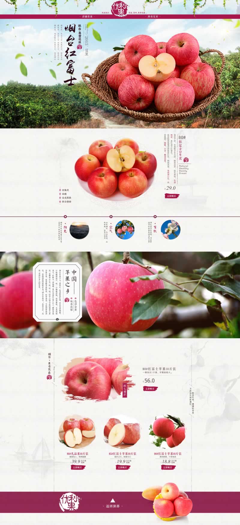 烟台红富士苹果水果装修模板
