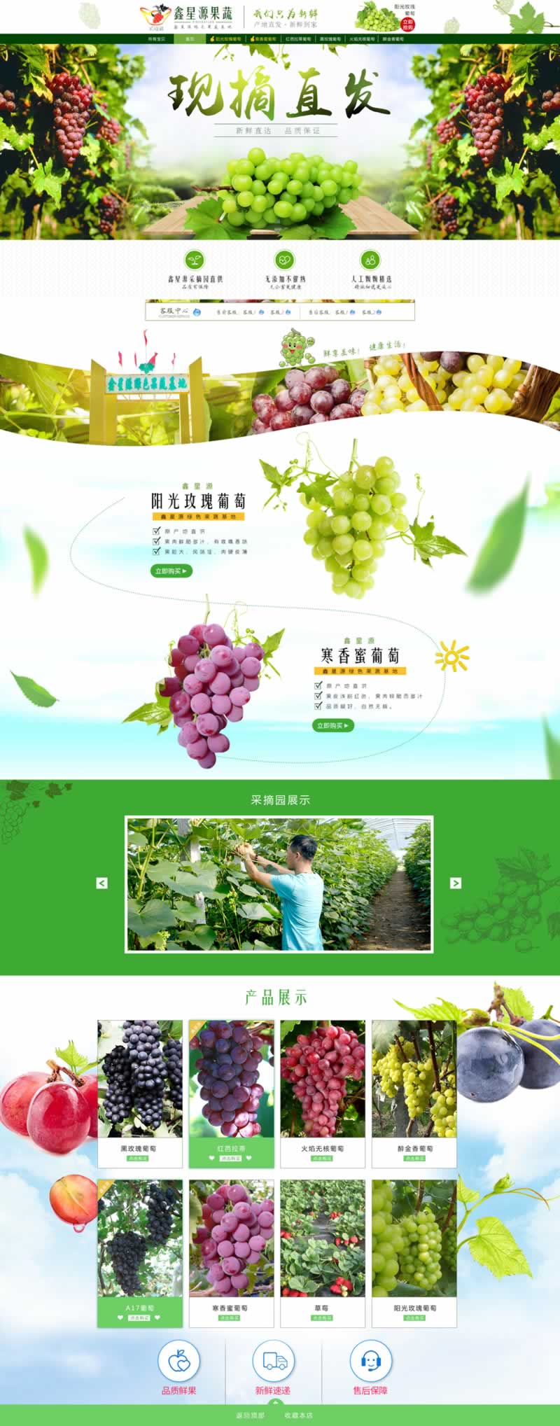 鑫星源果蔬水果蔬菜生鲜网店装修